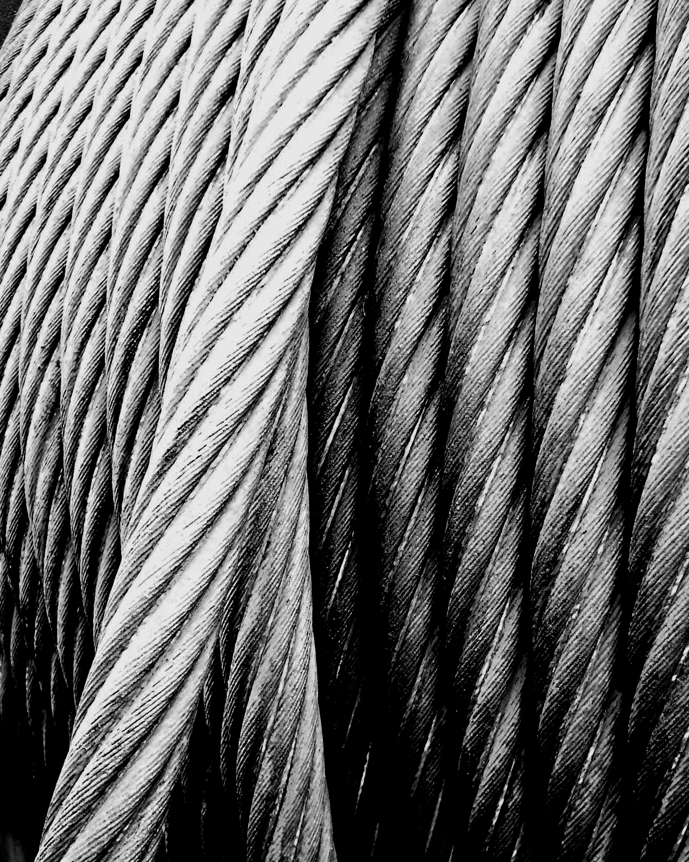 Close-up of a coiled cable with detailed texture