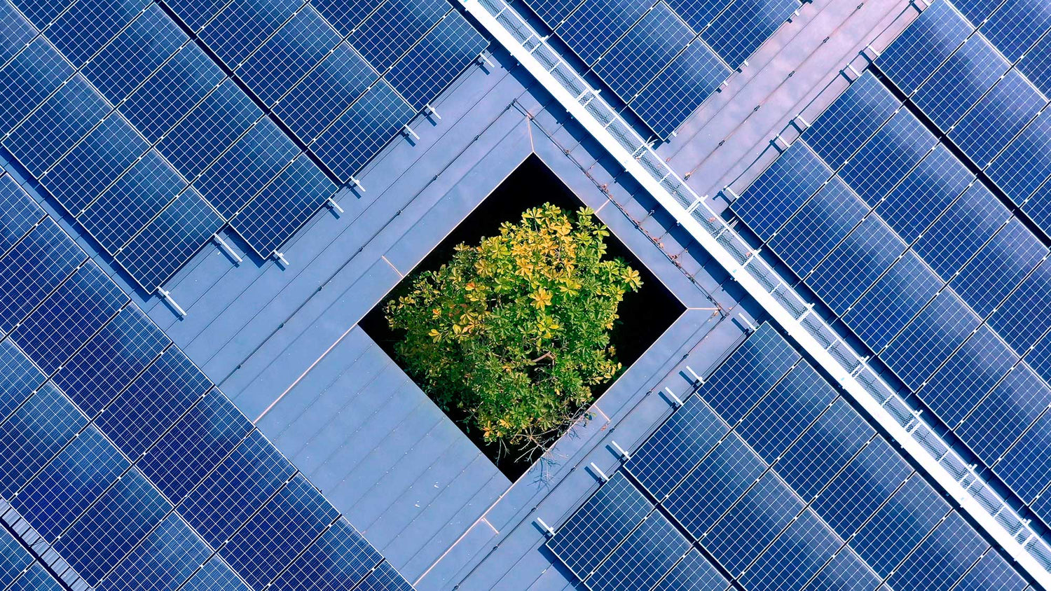 Solar panels with a central square showing a tree, symbolizing sustainability.