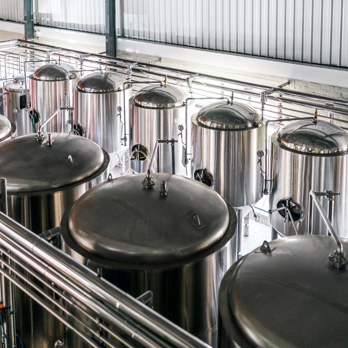 Row of stainless steel fermentation tanks in a brewery setting