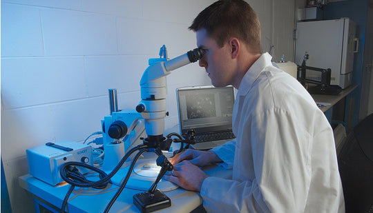 Person using a microscope in a laboratory setting
